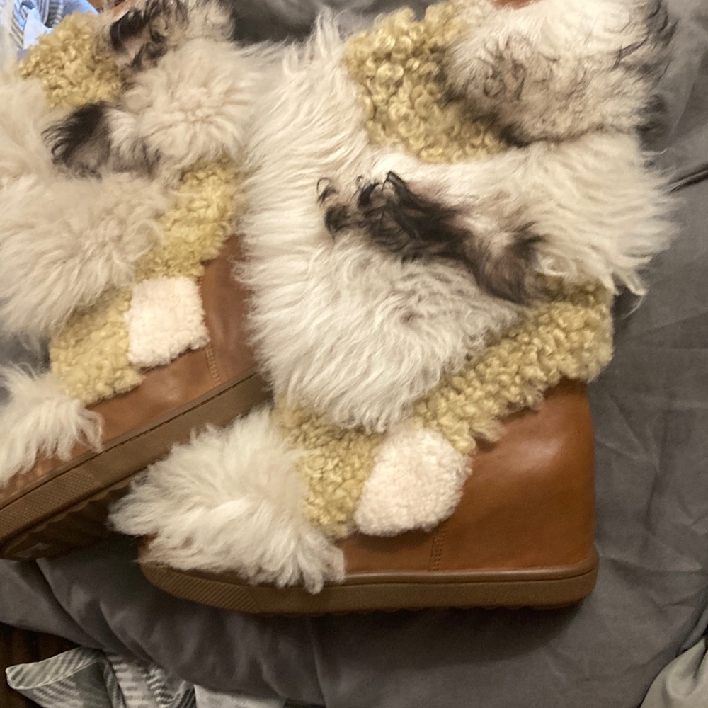Coach boots